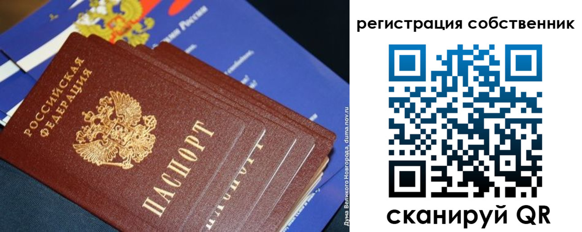 временная регистрация в Светлогорске
